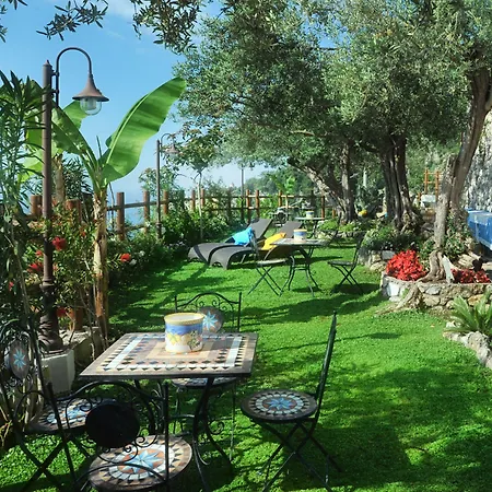 World Center Bed and breakfast 4*