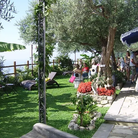 World Center Bed & Breakfast 3*