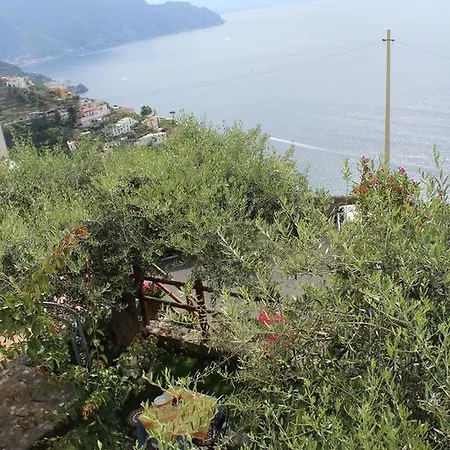 Bed and breakfast World Center