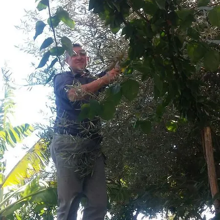 World Center Bed and breakfast Amalfi