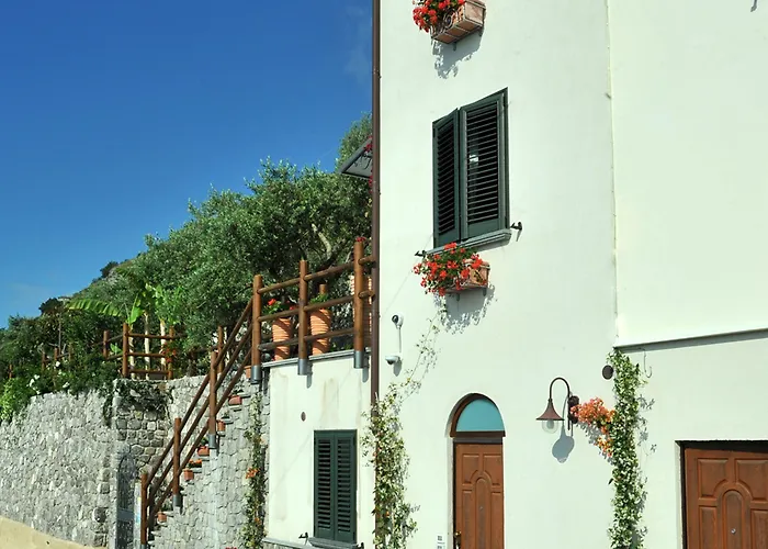 World Center Bed & Breakfast