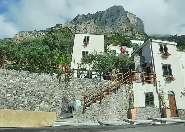 Bed & Breakfast World Center 4*