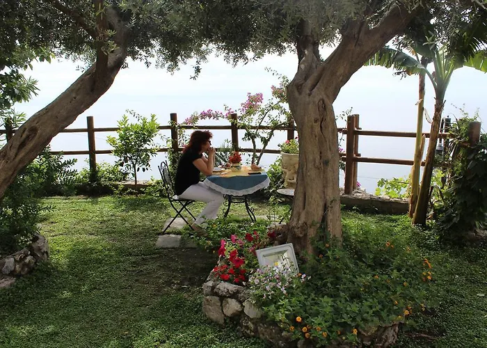 Bed & Breakfast World Center 4*