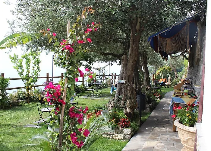 Bed & Breakfast World Center