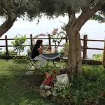 Bed & Breakfast World Center 4*