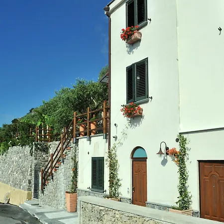 World Center Bed & Breakfast