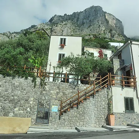 Bed & Breakfast World Center 4*