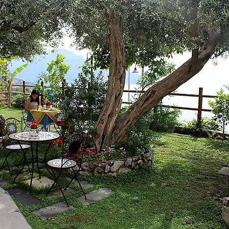 World Center Bed & Breakfast