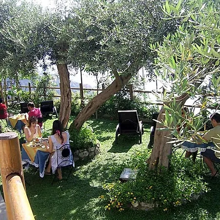 Bed & Breakfast World Center