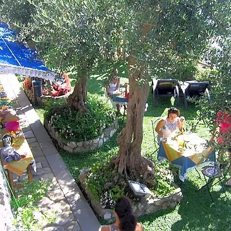 Bed & Breakfast World Center