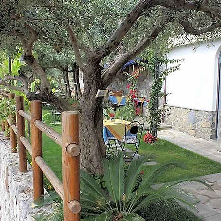 World Center Bed & Breakfast