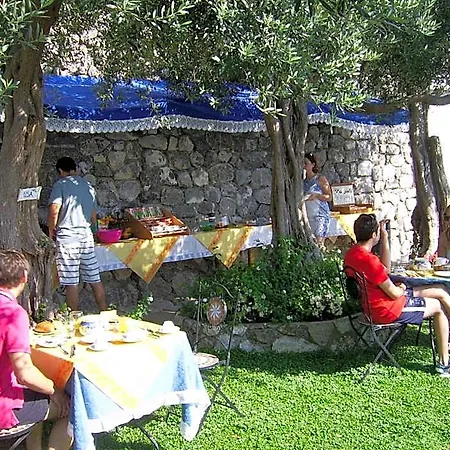 World Center Bed & Breakfast