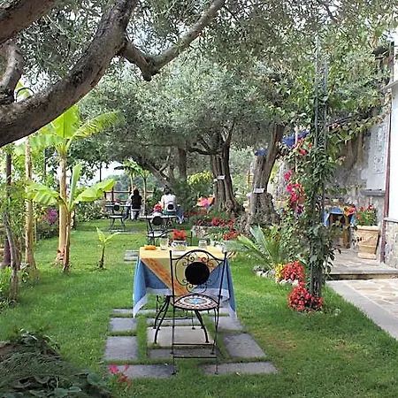 World Center Bed & Breakfast 4*