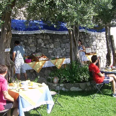 Bed & Breakfast World Center 4*