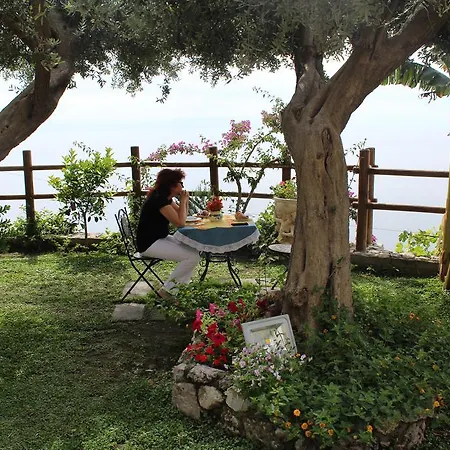 Bed & Breakfast World Center 4*