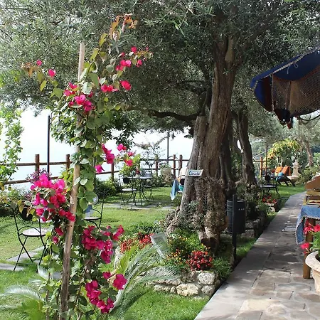 Bed & Breakfast World Center