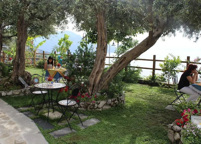 Oda ve Kahvaltı World Center