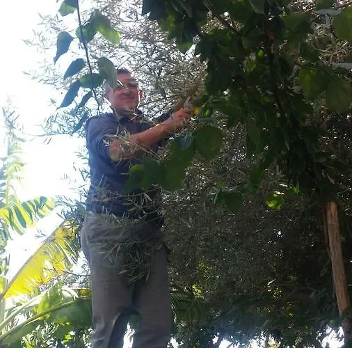 World Center Oda ve Kahvaltı Amalfi