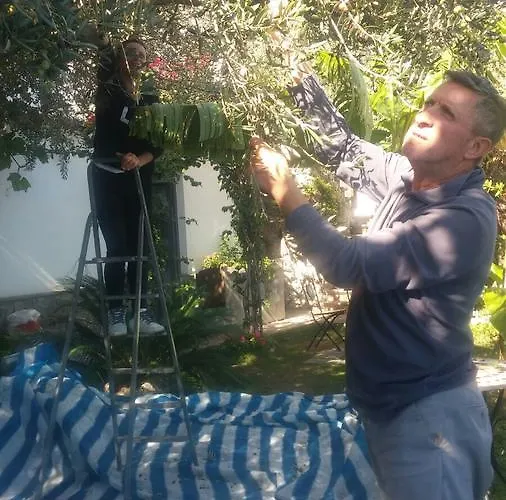 World Center Oda ve Kahvaltı Amalfi