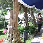 世界中心酒店